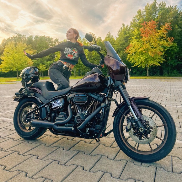 Meet your Posher, Trixie - Picture 3 of 10